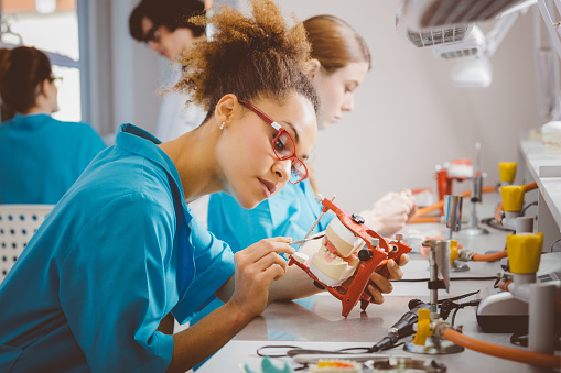 Dental Schools in the World